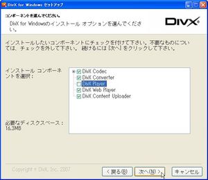 DivXPro_01.jpg