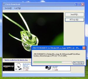 FlickrDownloadr_03.jpg
