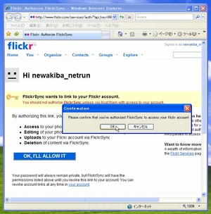 FlickrSync_01.jpg