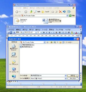 MSPrivateFolder_05.jpg