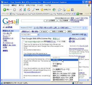 WebSearchAssistant_04.jpg