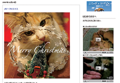 0802-011-004-thum.png