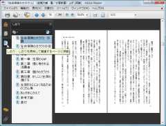 adobe_08-thum.jpg