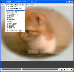 aviutl099a03_t.jpg