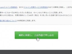 domaauction_11
