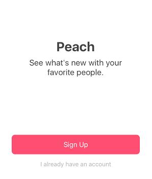 ostSv160220_peach_001