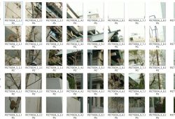 ecut_07-thum.jpg