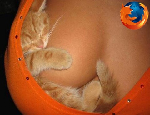 https://www.oshiete-kun.net/archives/images/sexy_firefox_cat.jpg